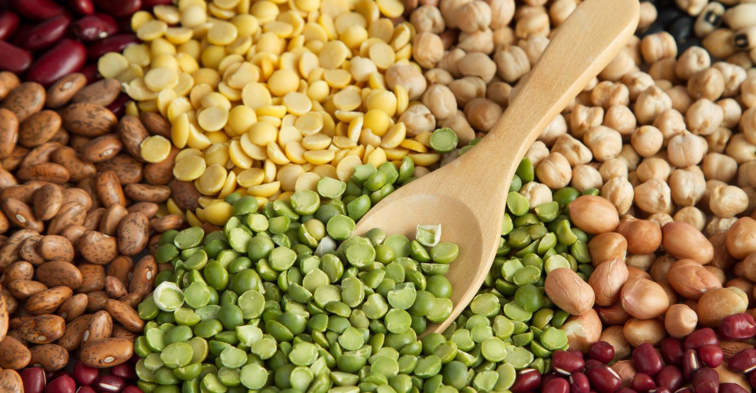 Plantebaseret protein! Hvorfor nu det?